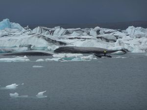 P1020739-1.jpg