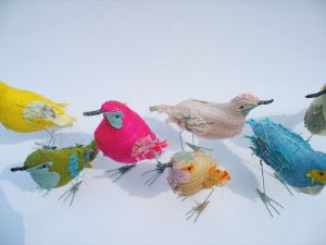 group-birds2.jpg