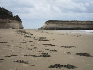 IMG_0850.JPG