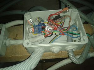 2013-02-08-11.38.11.jpg