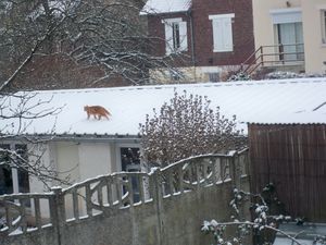Photo 174