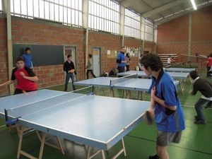 ping-mars-2010-001.JPG