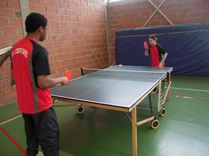 ping-mars-2010-003.JPG