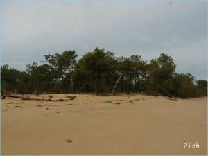 P1090734.jpg
