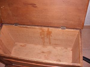Image179.jpg