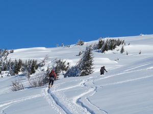 skiderandonnee.www.lebellacha.com