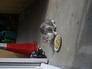 bon-appetit.JPG