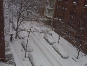 snowNYC.jpg