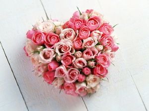 saint-valentin-rose0001.jpg