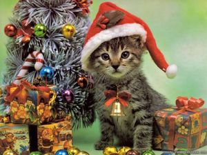 christmas-cat-wallpapers-1024x768.jpg