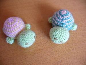 2010-02-18 Tortues r