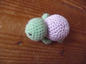 2010-03-23 Tortue r