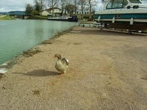 marina-venarey06-copie-1.jpg