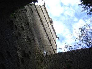 Photo 038