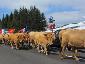 transumance 1618