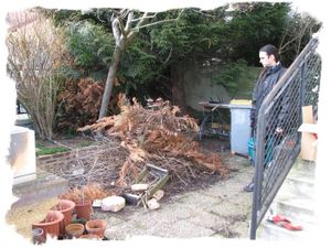 jardin 20100220 01
