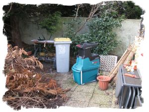 jardin 20100220 04