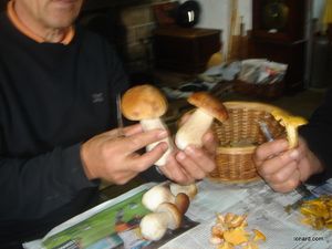 DSC00346