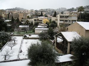 IMG_3301.jpg