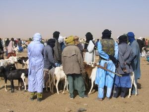 touareg touareg