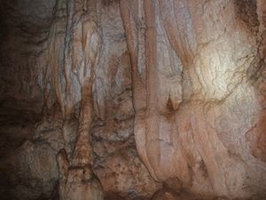 Mocrouis-11-2011-45.jpg