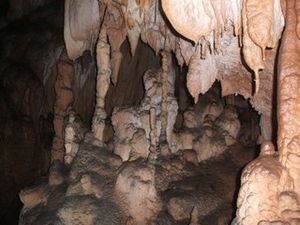 Mocrouis-11-2011-46.jpg