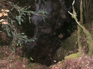 Mocrouis-11-2011-51.jpg