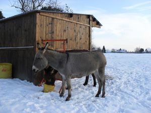 decembre2009 128