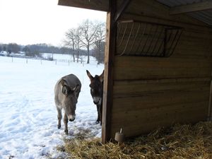 decembre2009 130