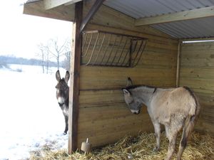 decembre2009 132