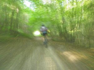 VTT 2012-16
