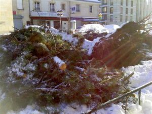 MLF-DSC0000859--Small-.jpg