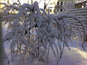 MLF-DSC0000863--Small-.jpg