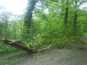 DSC04766--Small-.JPG