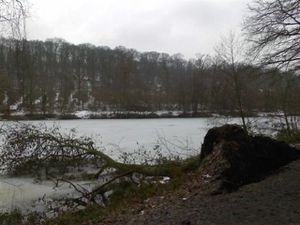 ETANG-GENESTE-BUC-DSC0000981--10-.jpg