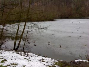 ETANG-GENESTE-BUC-DSC0000981--2-.jpg