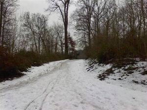 ETANG-GENESTE-BUC-DSC0000981--5-.jpg