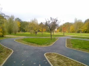 WP_004907.jpg