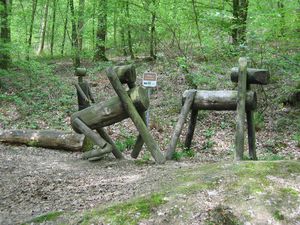 BOUILLON2010-016.jpg