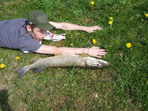 bbr-peche-016.jpg