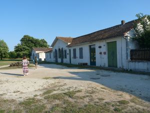 Oléron La vignerie juin10-1