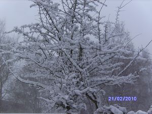 ann2010-1 072