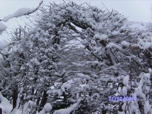 ann2010-1 073