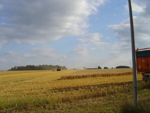 srh_moisson_2008-07.jpg