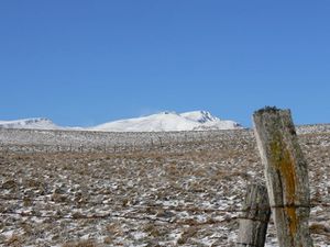 P1050961