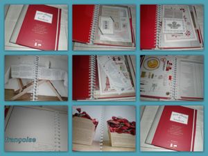 mon album de broderie