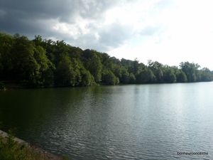 P1070192-1-copie-1.JPG