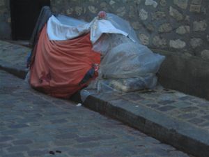 habitat-de-fortune.jpg