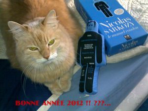 Cannelle-et-le-nain--397.jpg