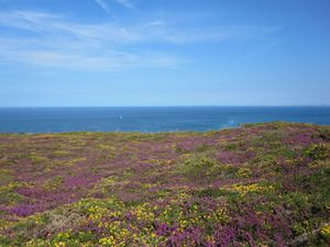 Cap Fréhel 1